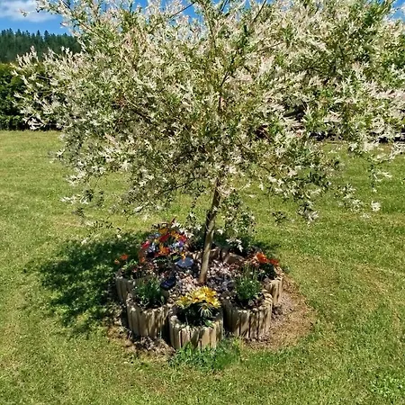 Przystan Nad Bobrem Z Balia I Sauna Kamienna Gora