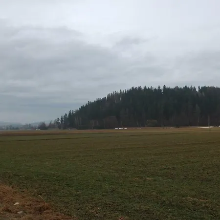 Apartmán Przystan Nad Bobrem