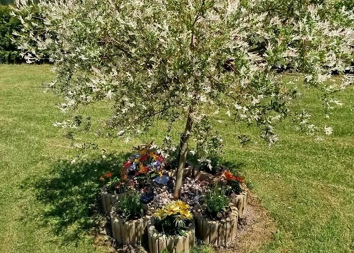 Przystan Nad Bobrem Z Balia I Sauna Kamienna Gora